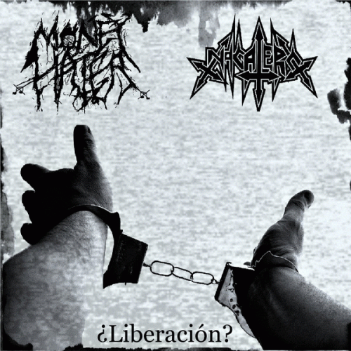 Money Hater : ¿Liberación?